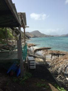 St Kitts beach Gogoeverywhere.com